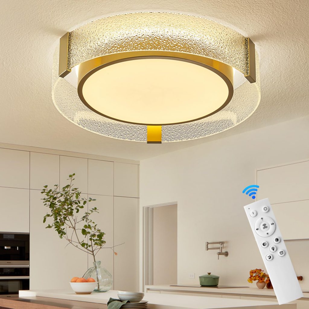 Led ceiling light fixtures