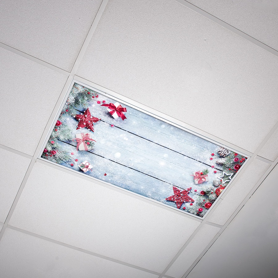 ceiling fluorescent light fixture