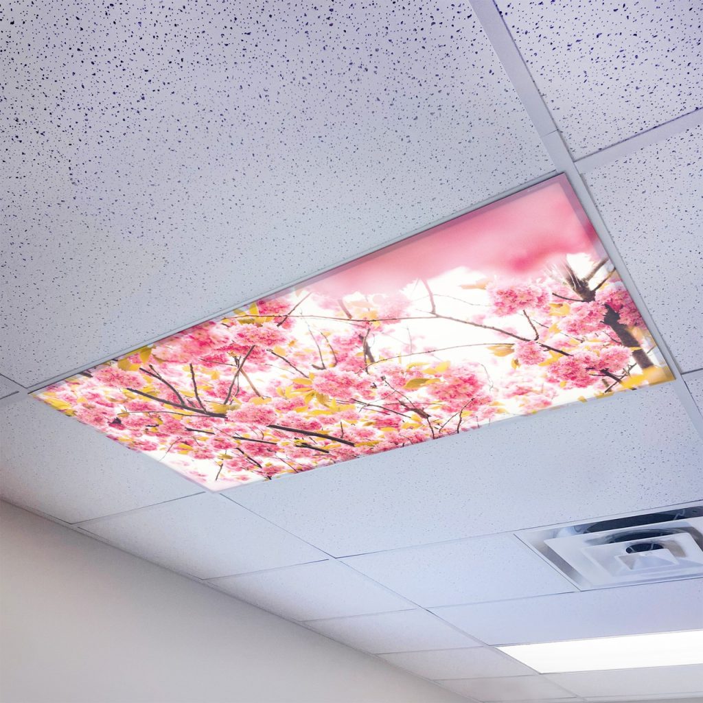 Fluorescent ceiling light covers