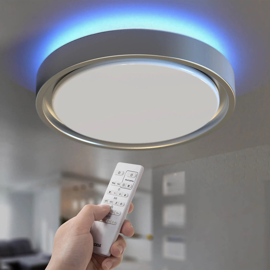 Motion sensor ceiling light