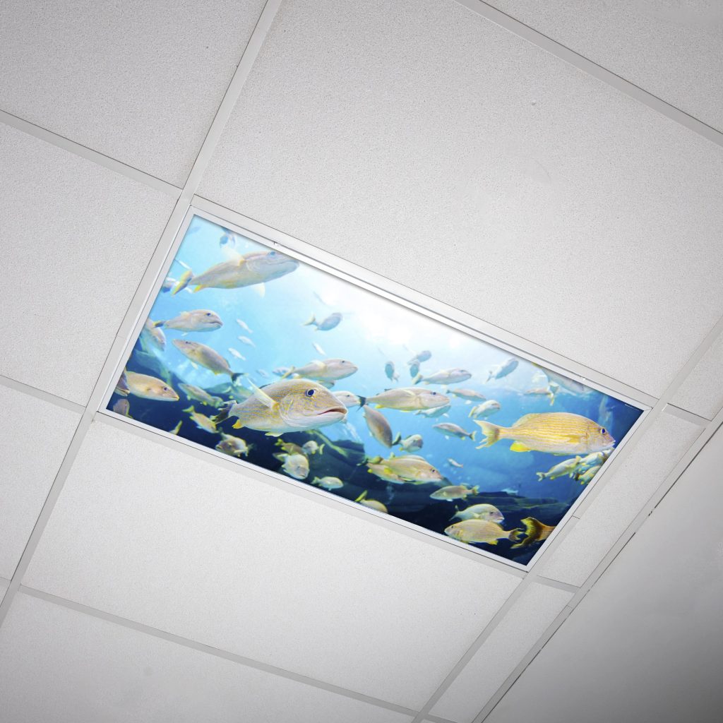 Fluorescent ceiling light covers