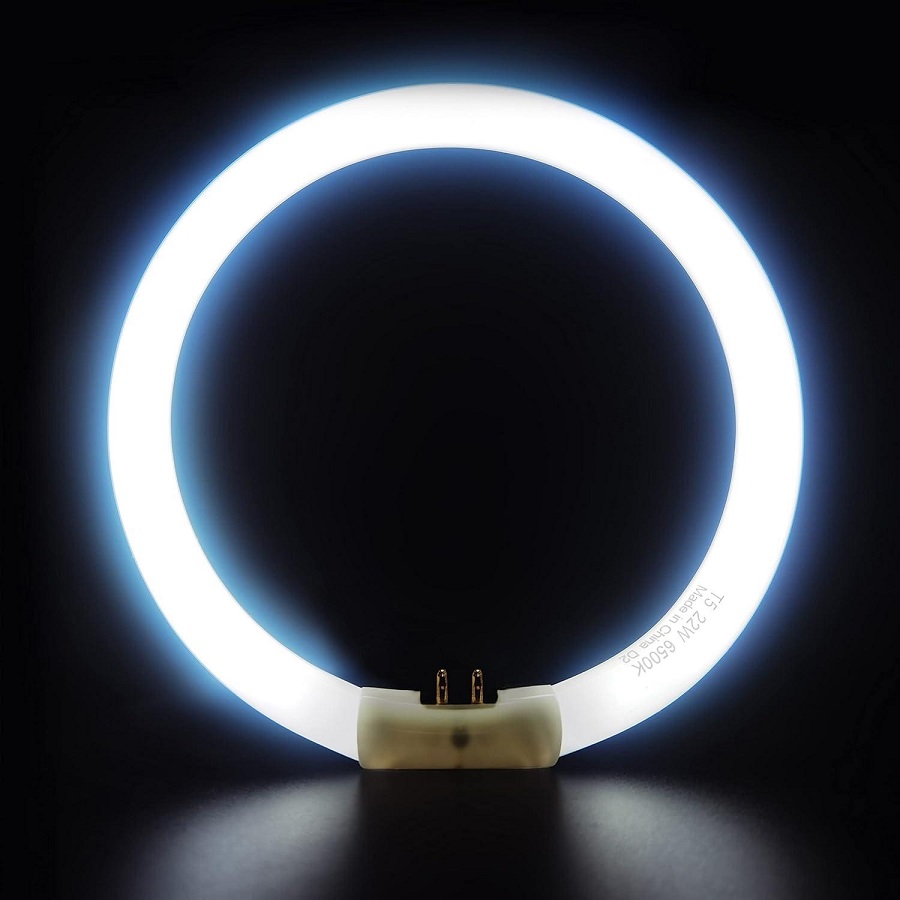 circular light bulb