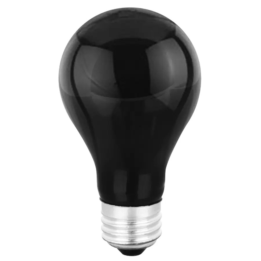 Black Light Bulb – DIYs to Personalize Your Space