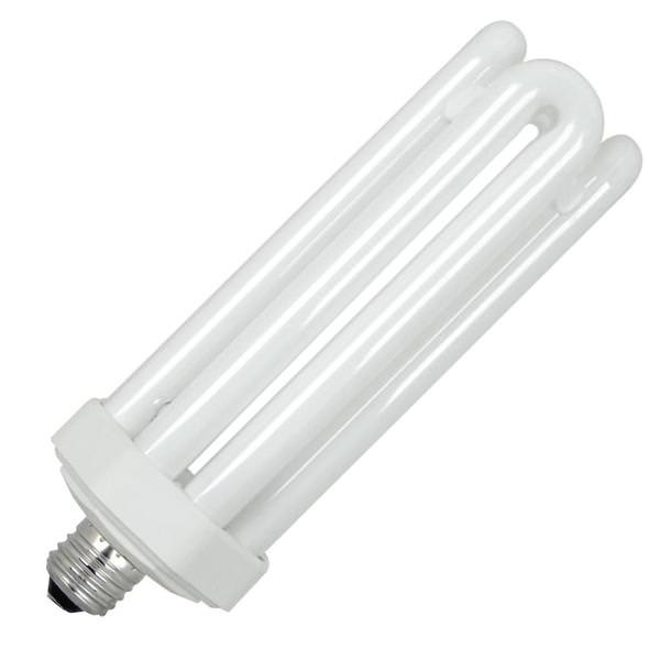 fluorescent light bulb